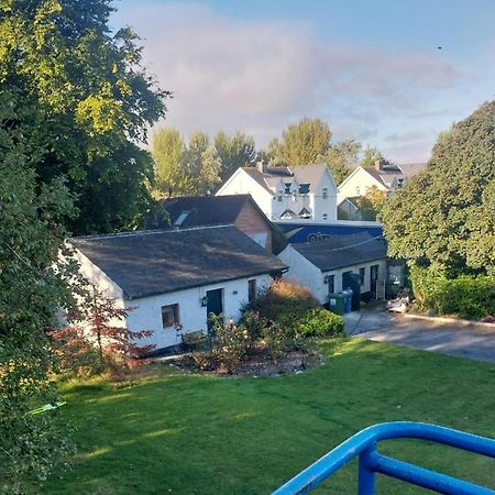 Cosy 2 Bed Cottage Next To Fota Wildlife Park Cork Kültér fotó