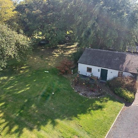 Cosy 2 Bed Cottage Next To Fota Wildlife Park Cork Kültér fotó